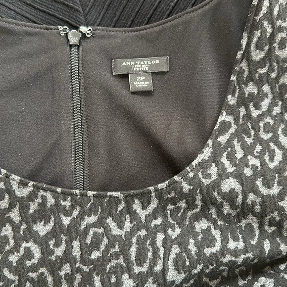 Ann Taylor Scoop Neck Dress - Picture 7 of 7